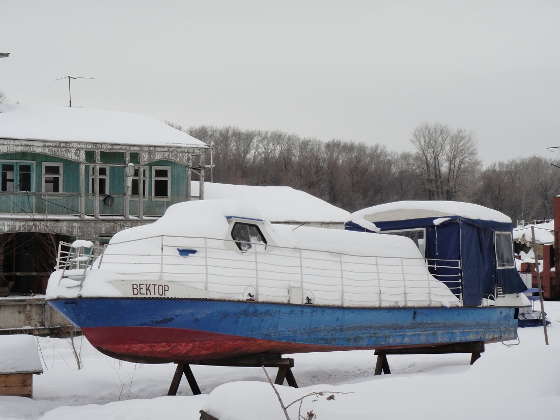 Вектор