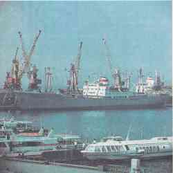 486 КБ
