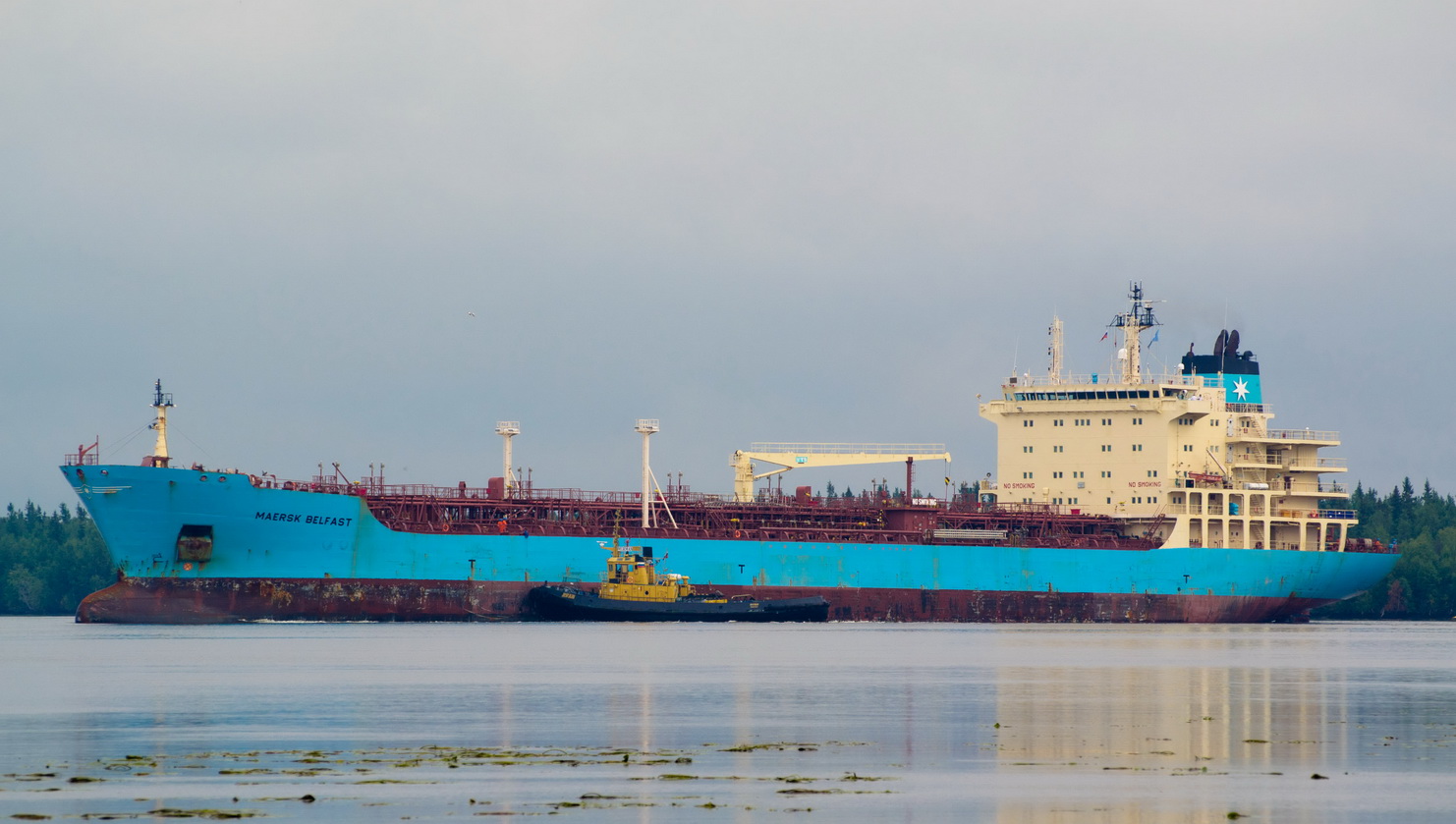 Maersk Belfast, Мурман