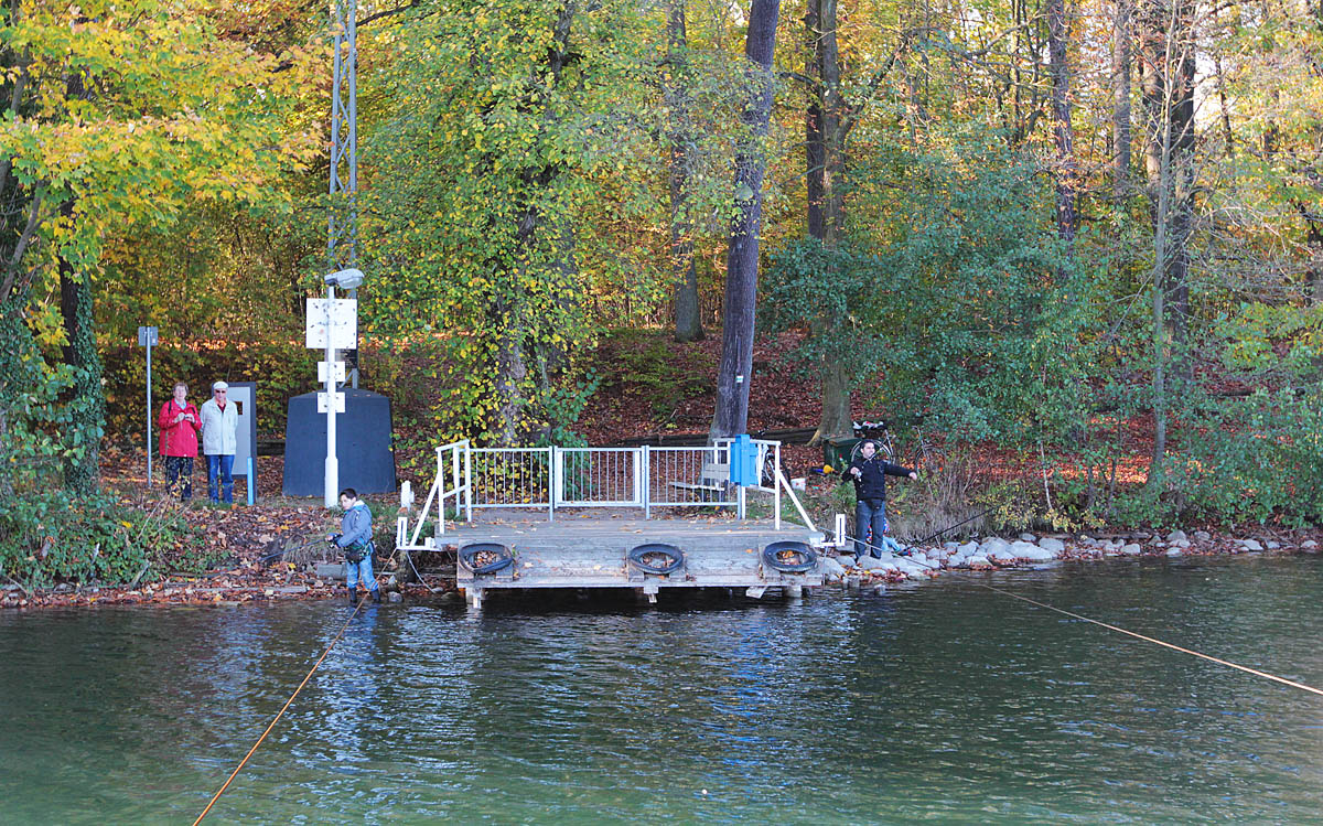Электропаром на озере Штраусзе (Straussee)