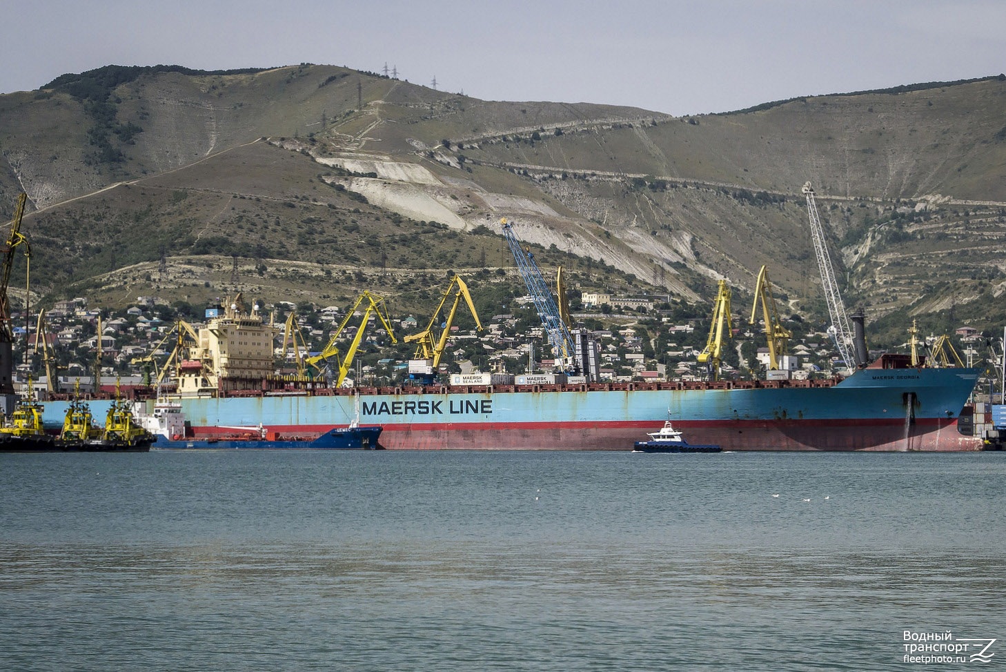 Бурный, Бодрый, Цемес, Maersk Georgia, НСС-1001