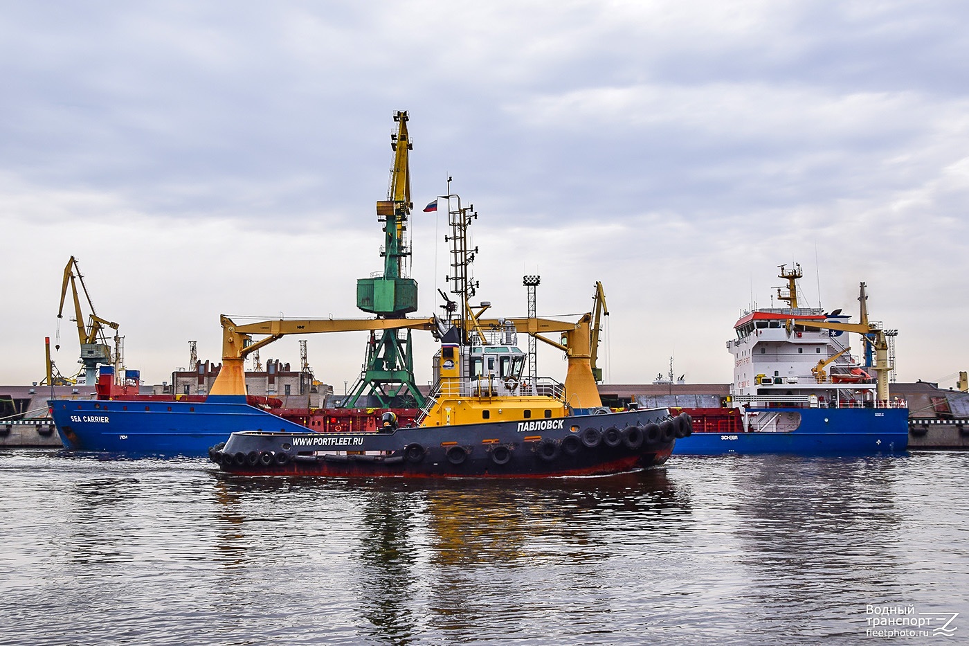 Павловск, Sea Carrier