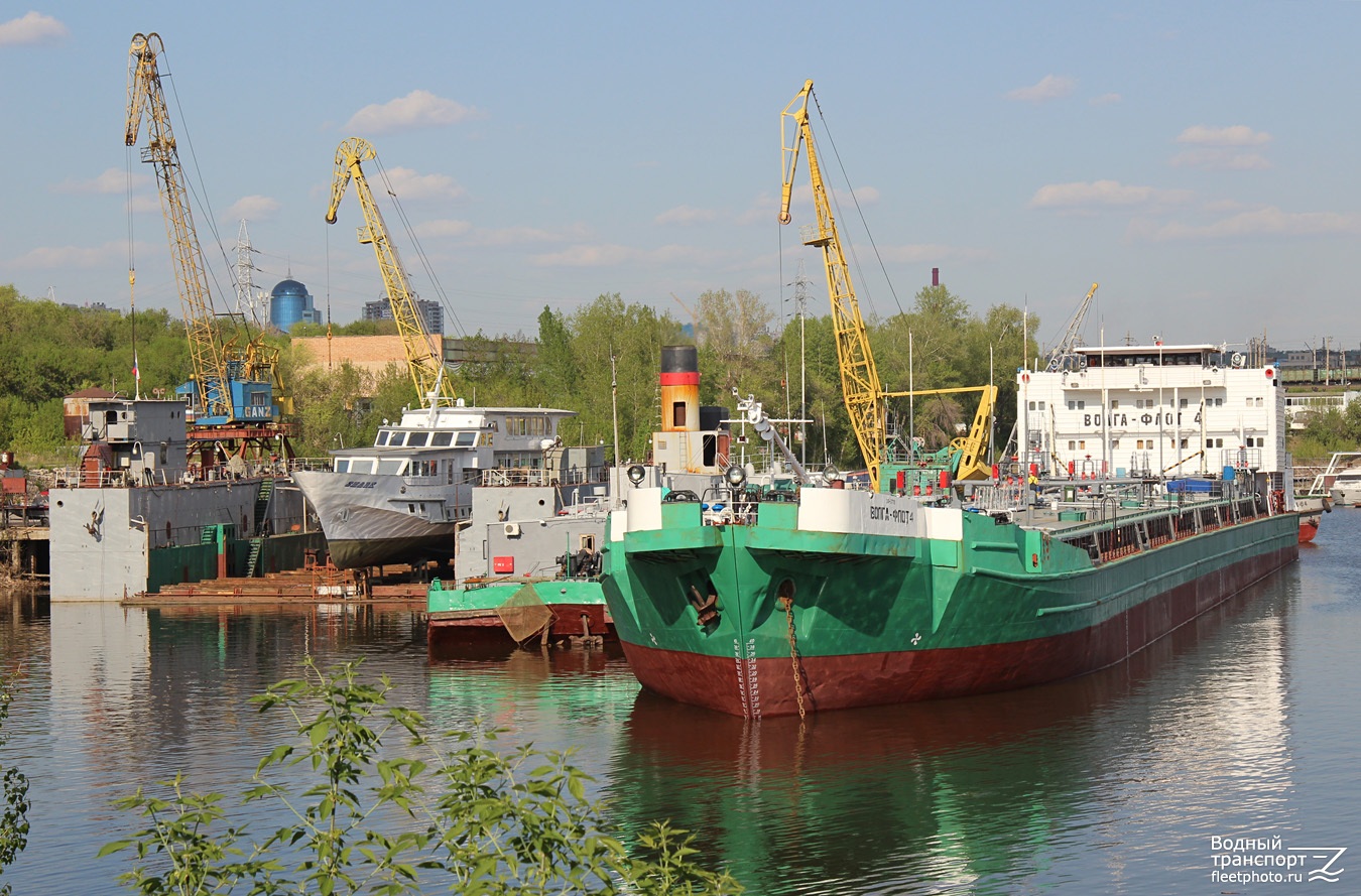 1667, Шарк, Волга-Флот 4