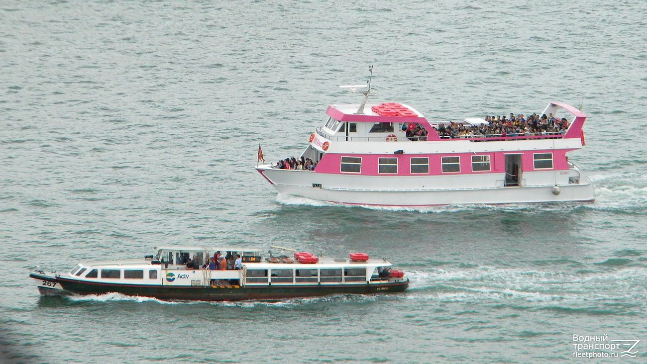 N.267, Pink Venice