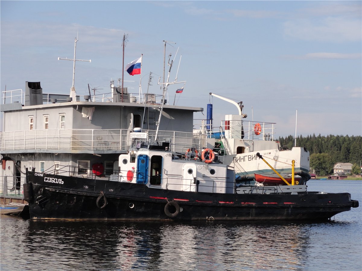 Соболь