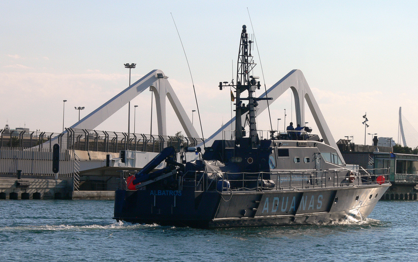 Albatros