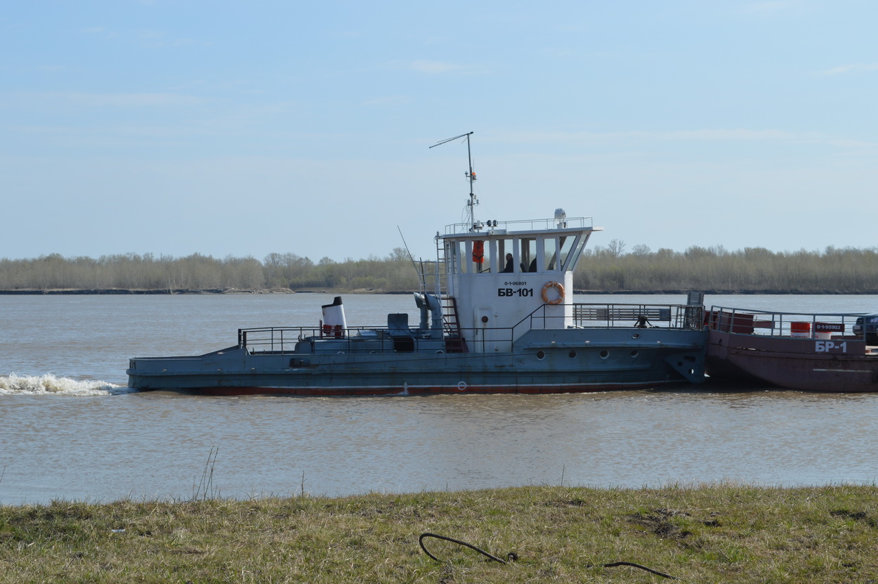 БВ-101