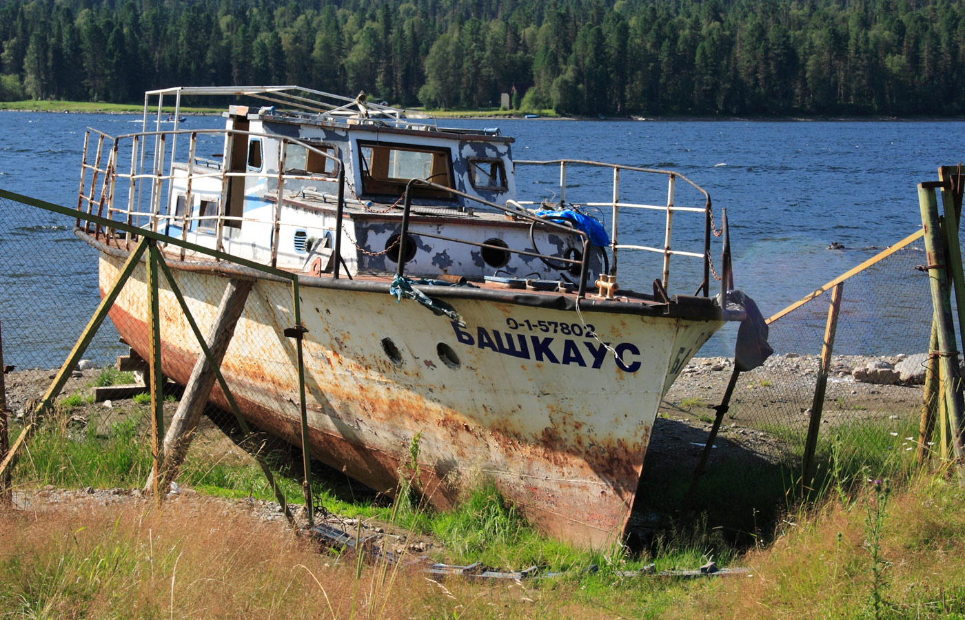 Башкаус