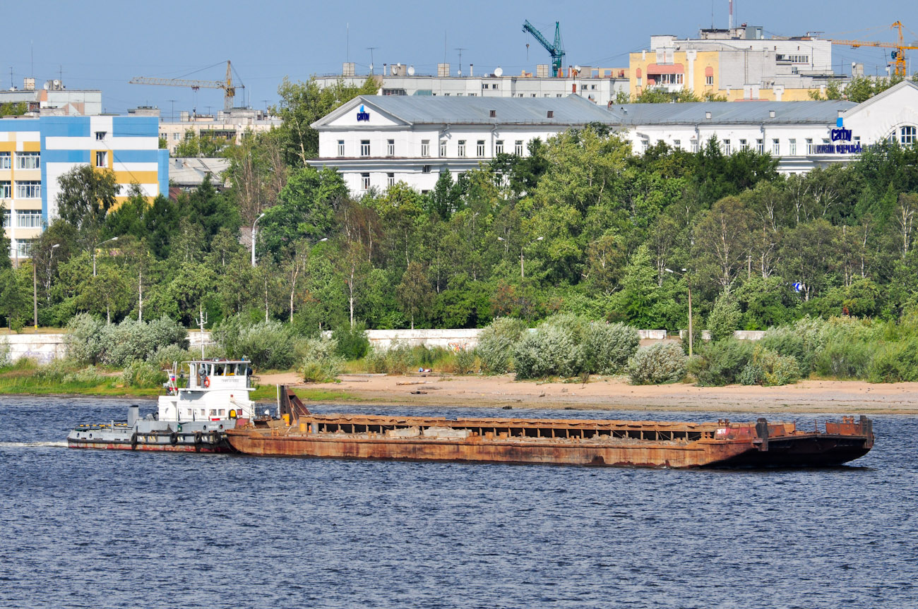 Парголово, 2631