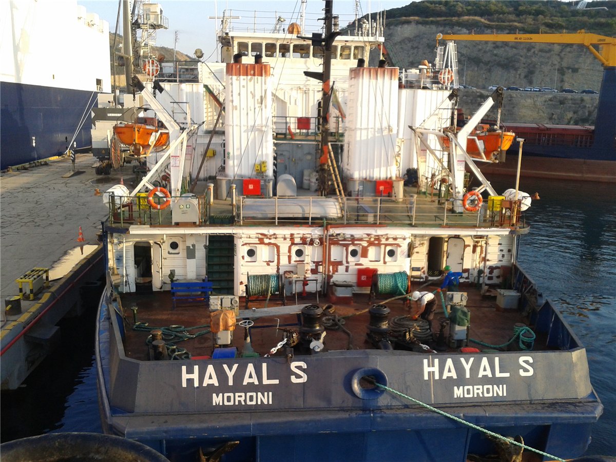 Hayal S
