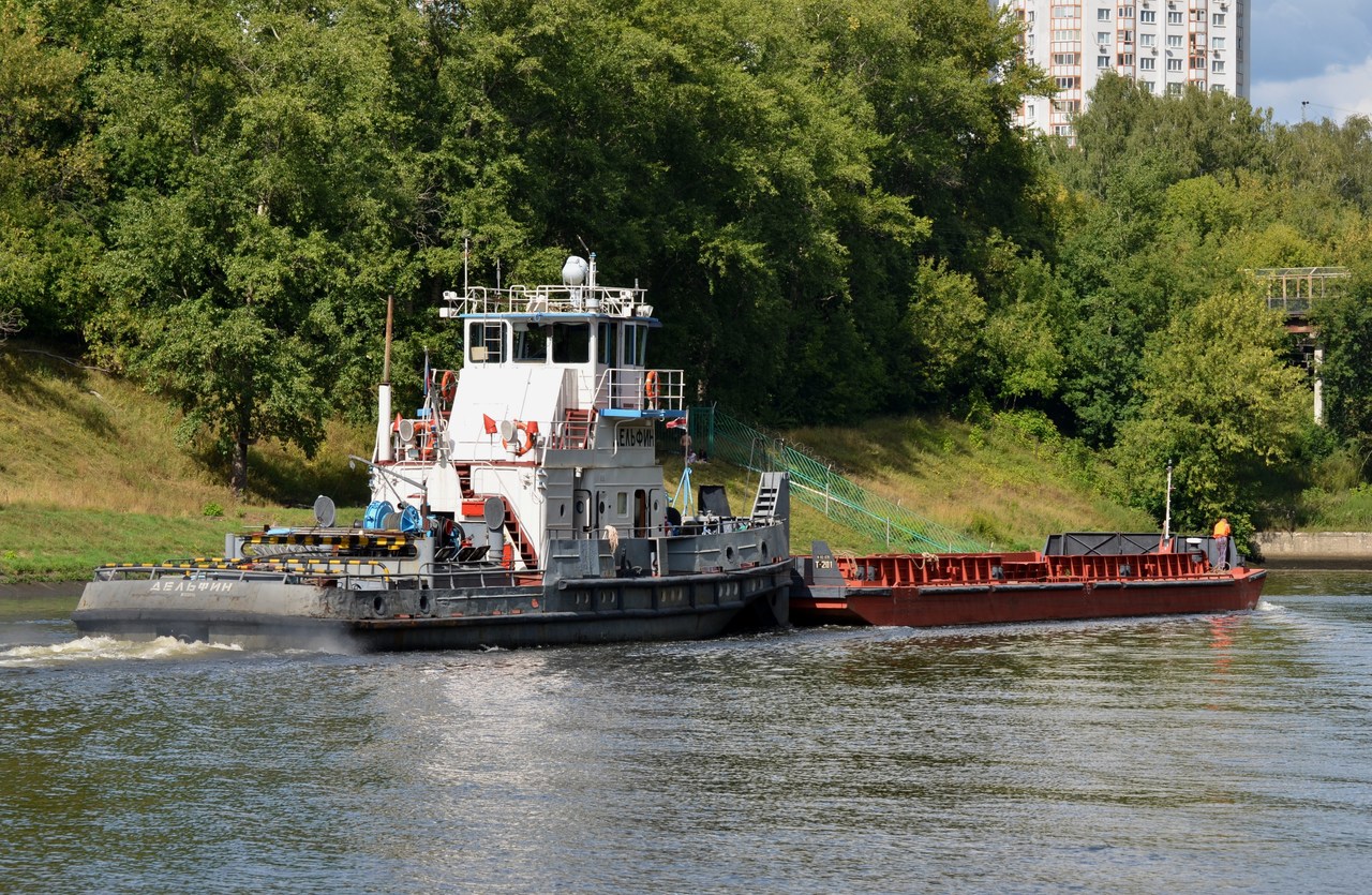Дельфин, Т-201