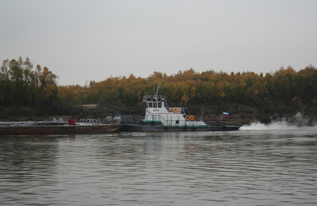 БМ-20