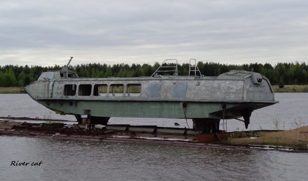 Полесье-13