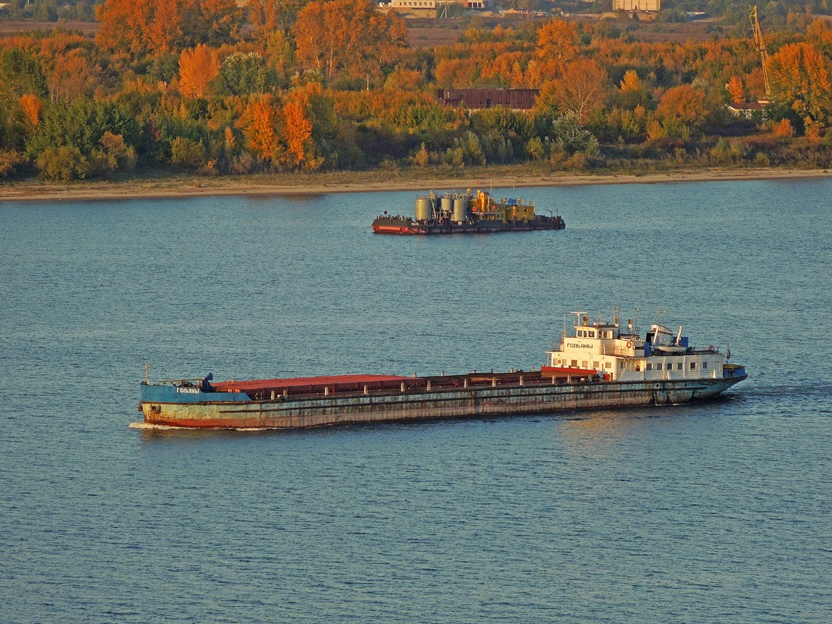 МН-41, Гольяны