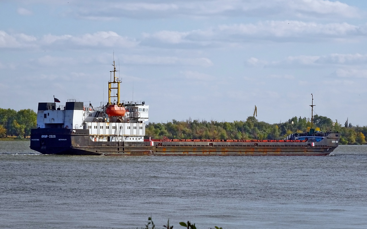 Амур-2528
