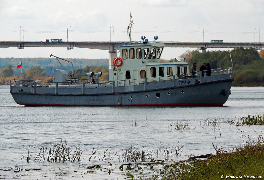 Гриф