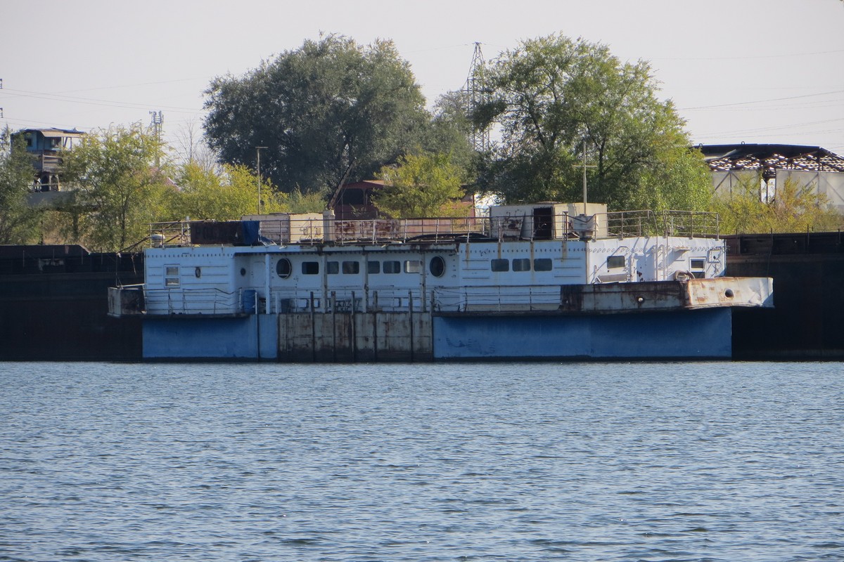 Роса-230