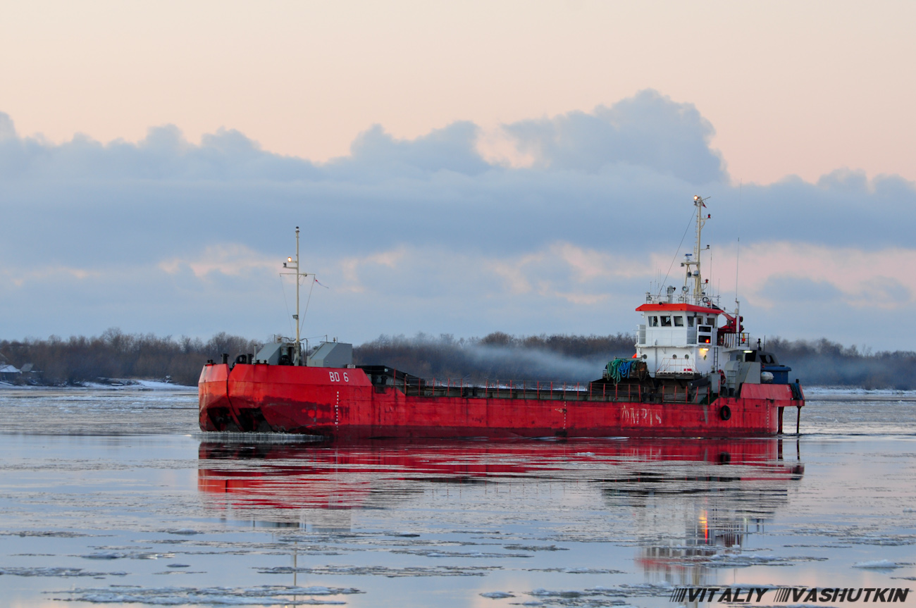 БД 6