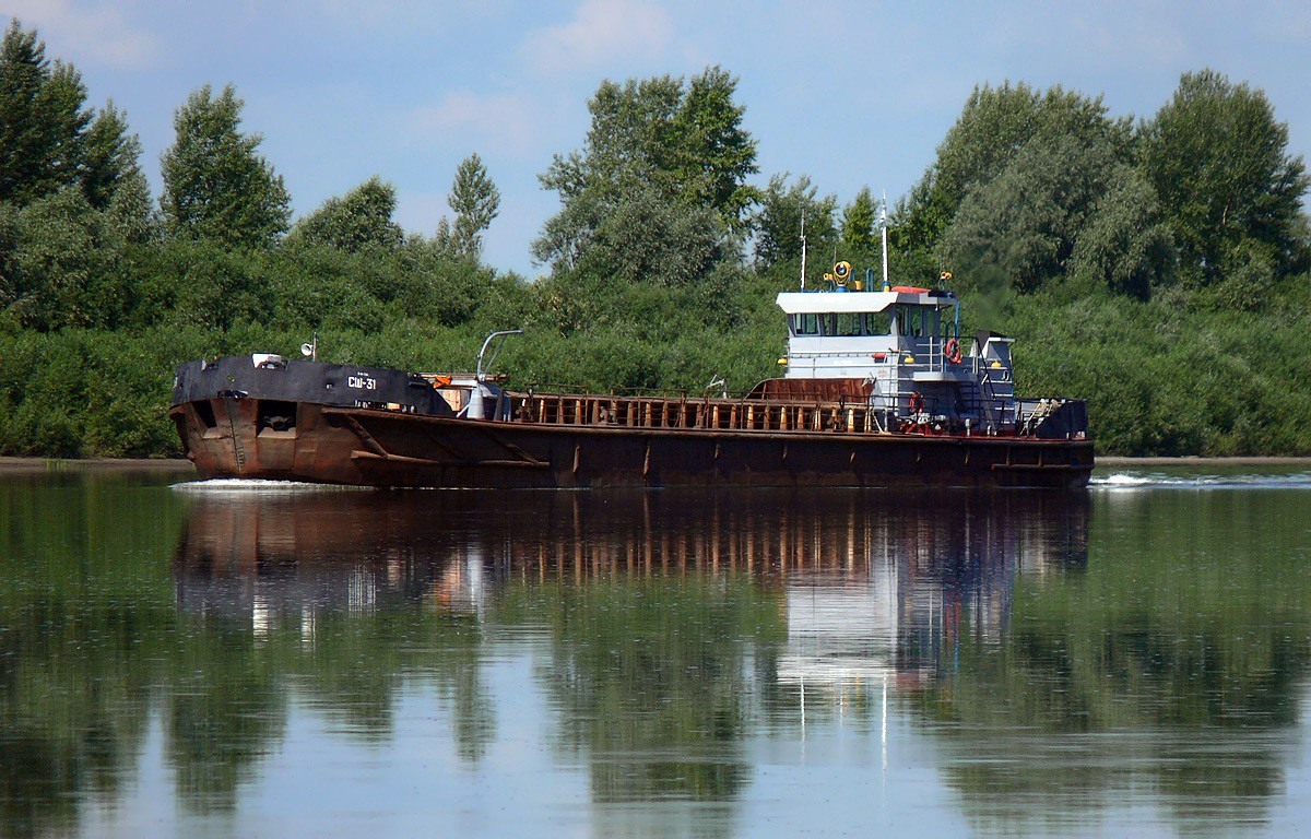 СШ-31