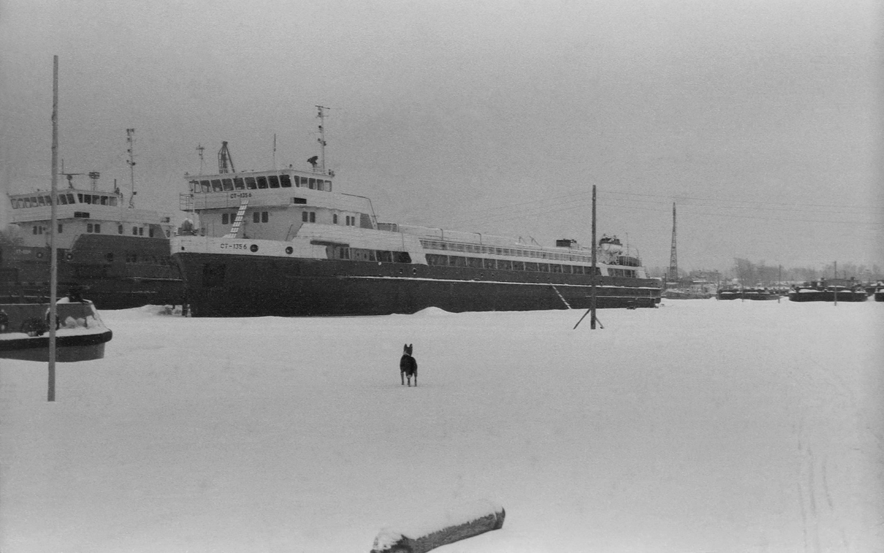 СТ-1356
