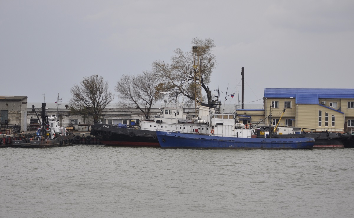МЗ-315, ПТС-231, Кама