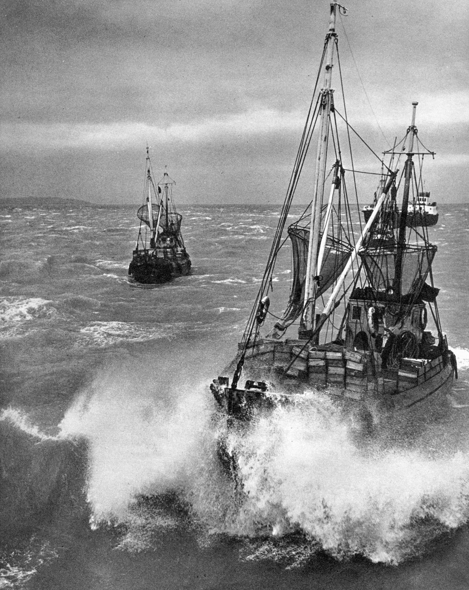 Unidentified ships, Книги, фотоальбомы и периодические издания