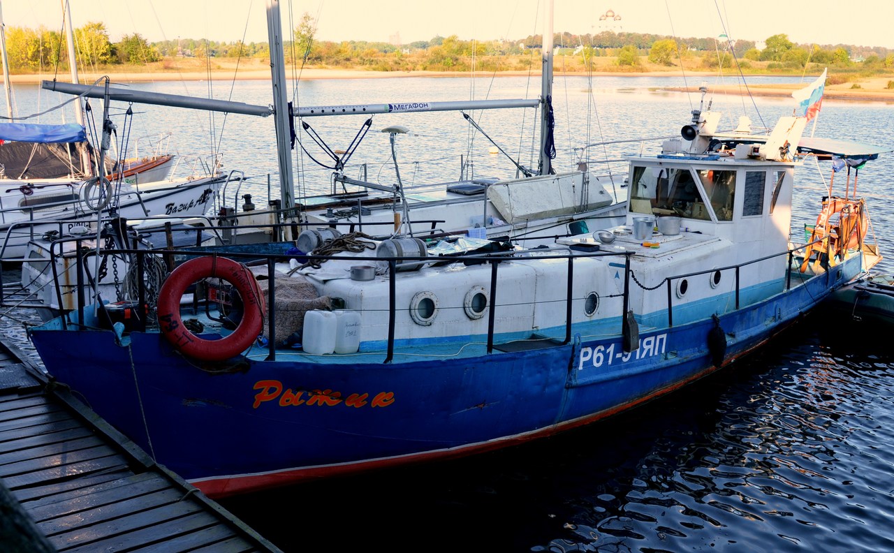 Рыжик