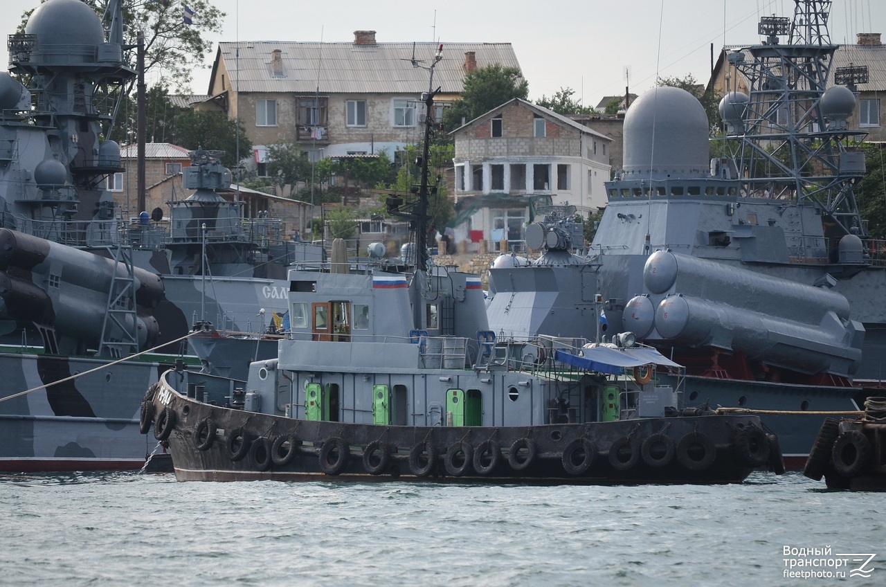 РБ-244