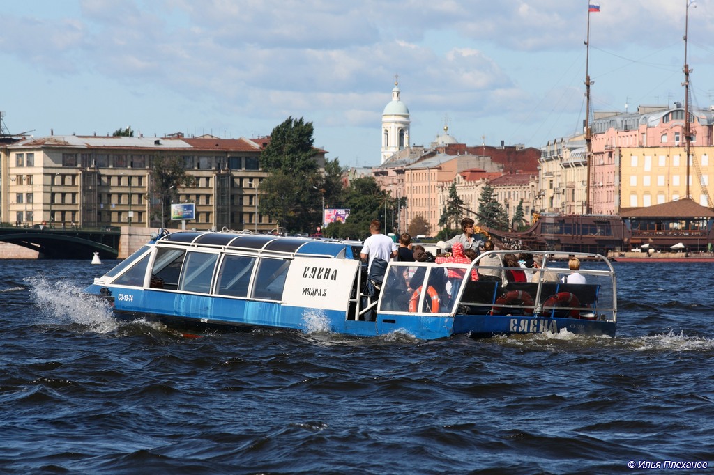 Елена Мудрая