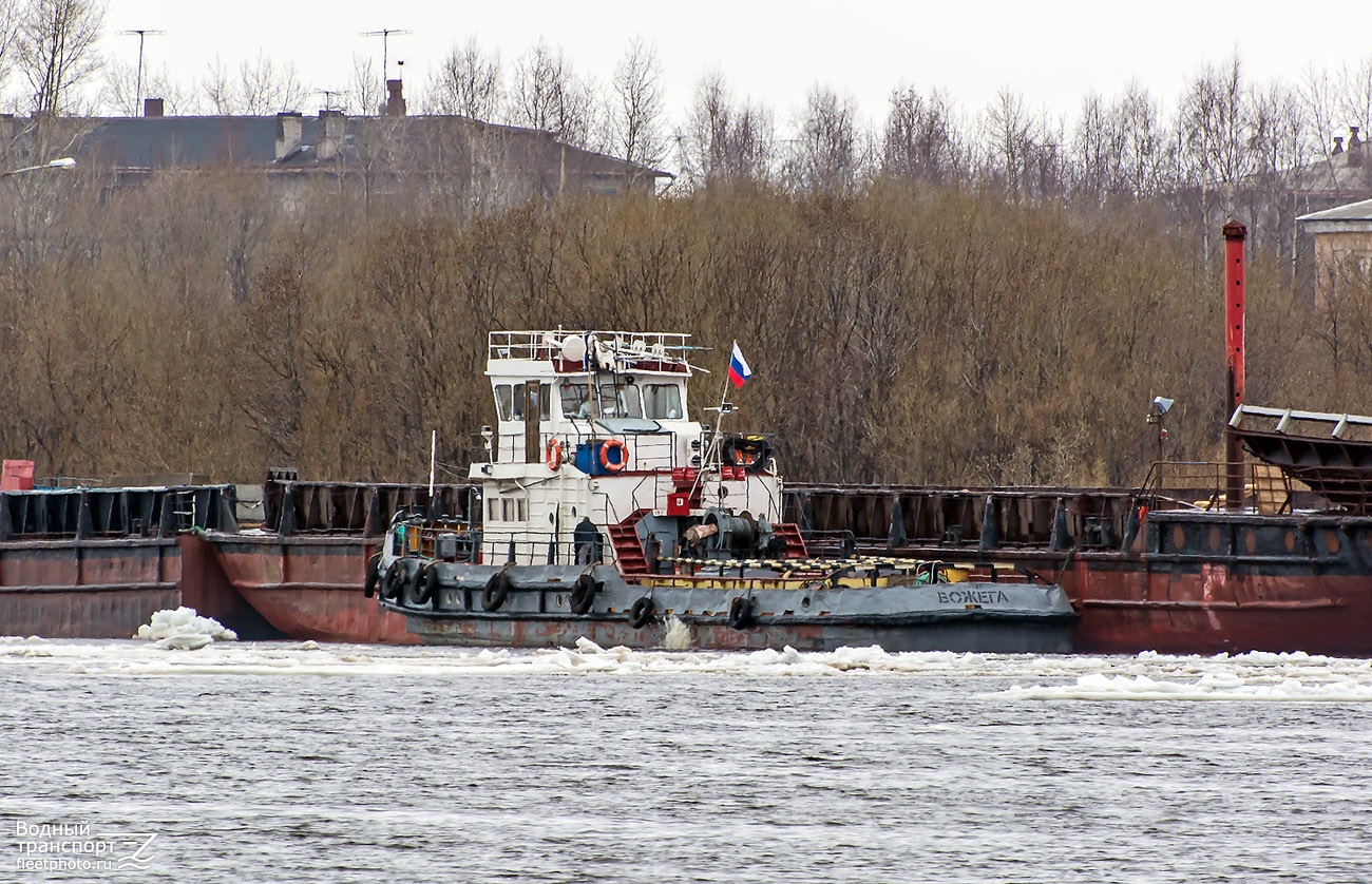 Вожега