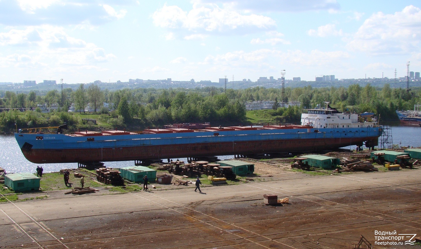 Соколки