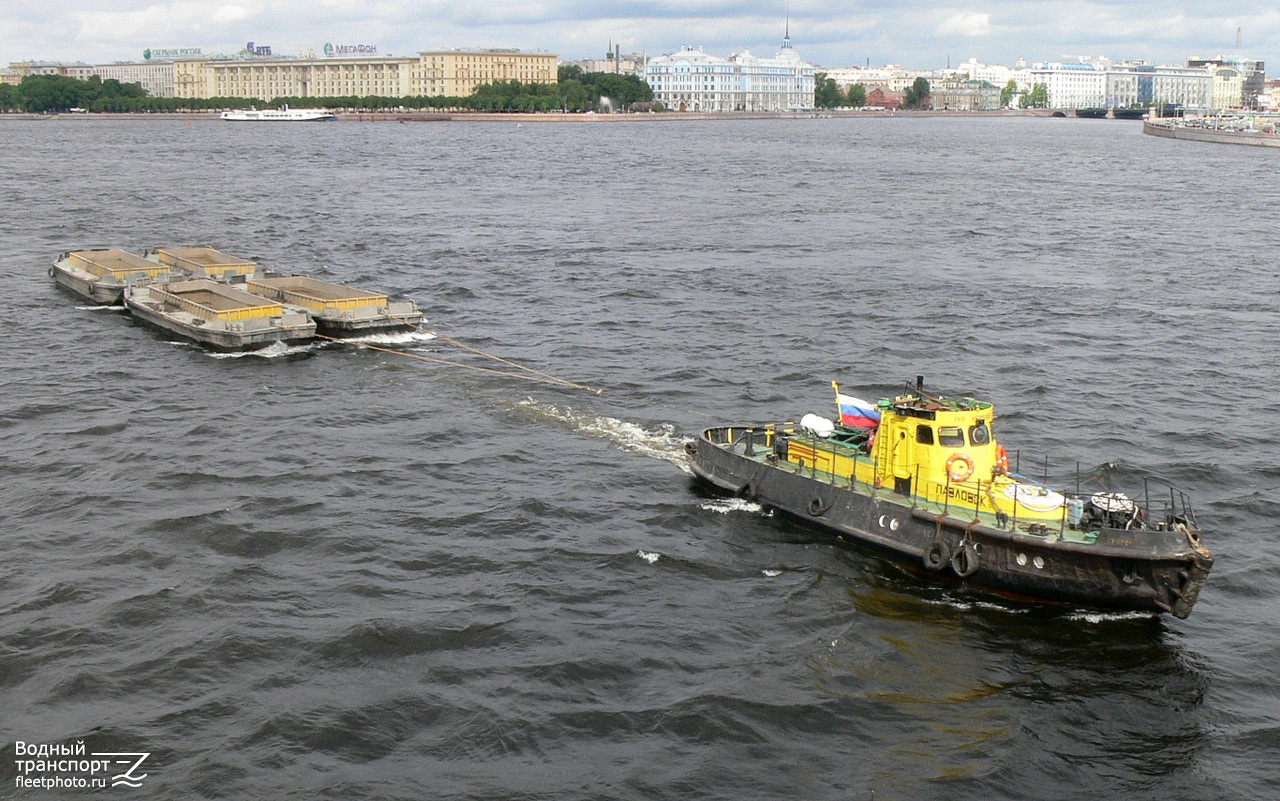 НШ-40, НШ 5, НШ-17, Павловск