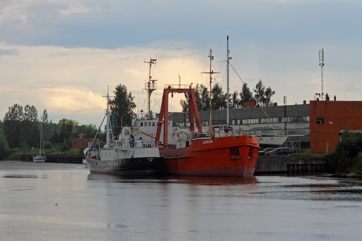 Junikon, Svanic