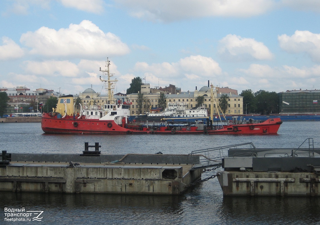 Тарника