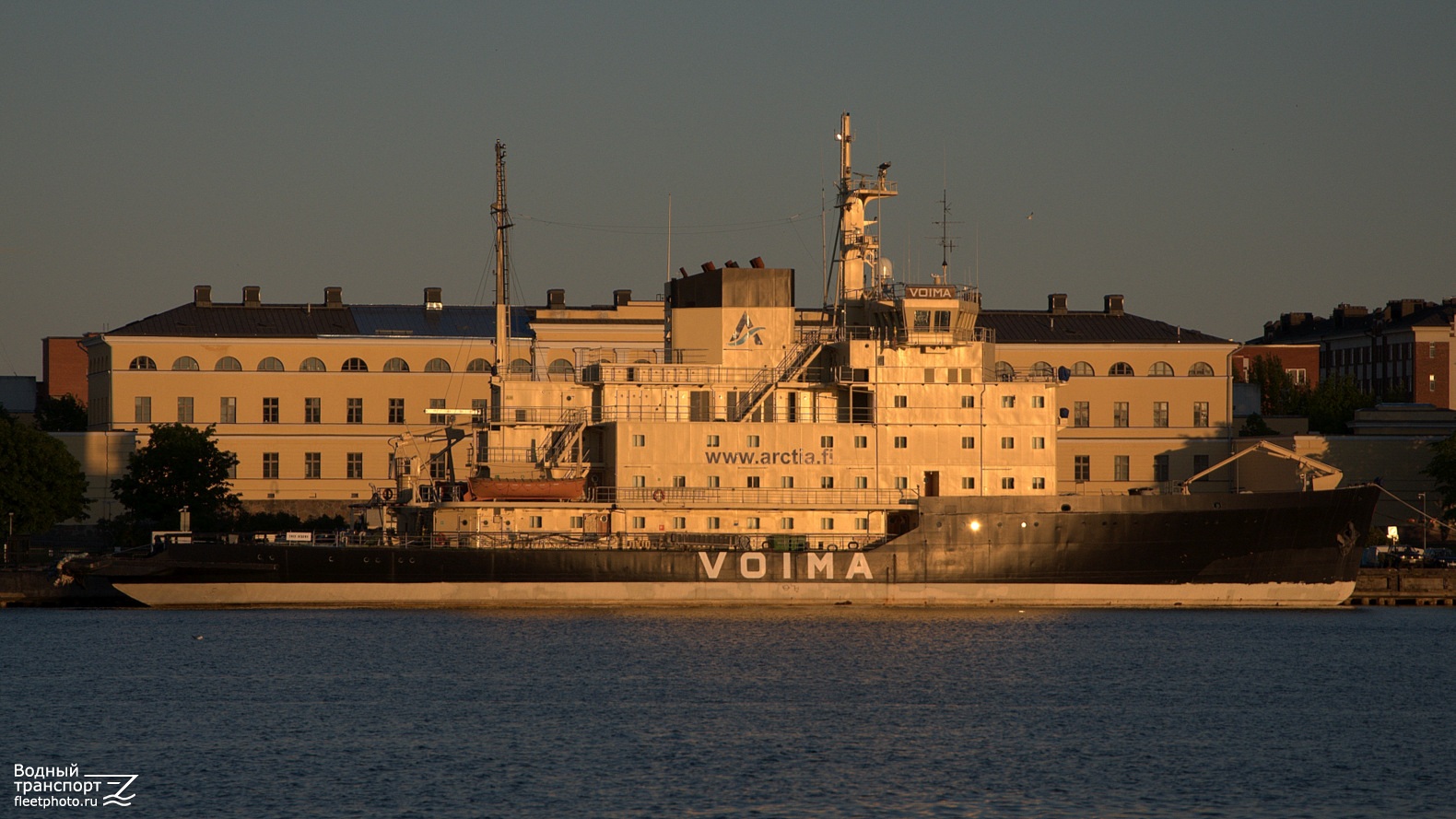 Voima