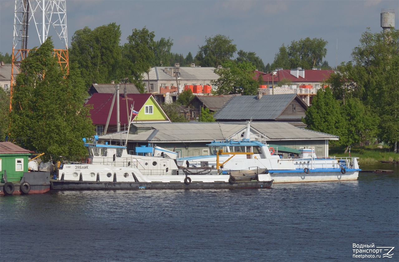 Зяблик, Патрульный-1