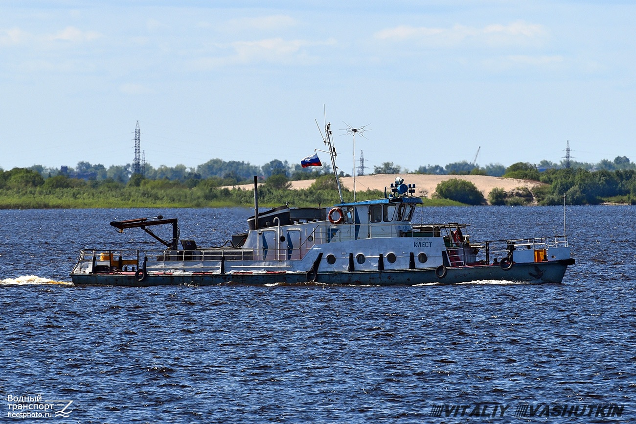 Клёст