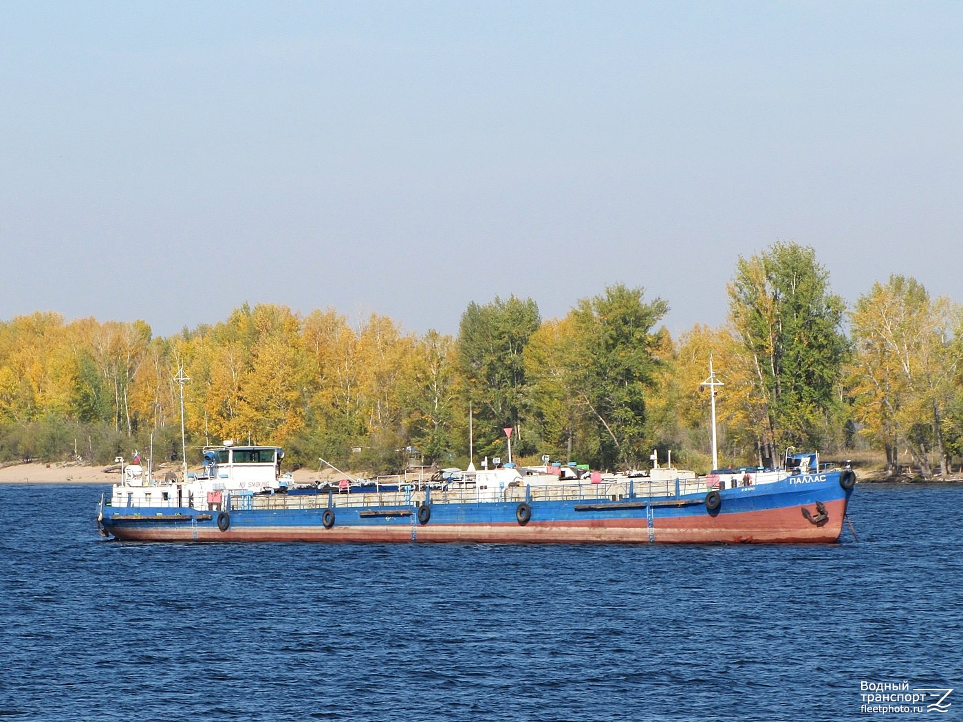 Паллас