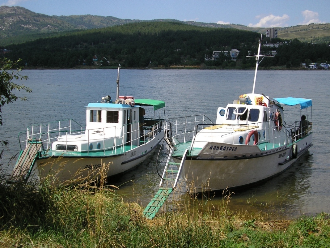 Виктор, Альбатрос