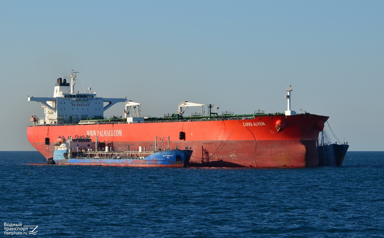 Волгонефть-103, Zarifa Aliyeva
