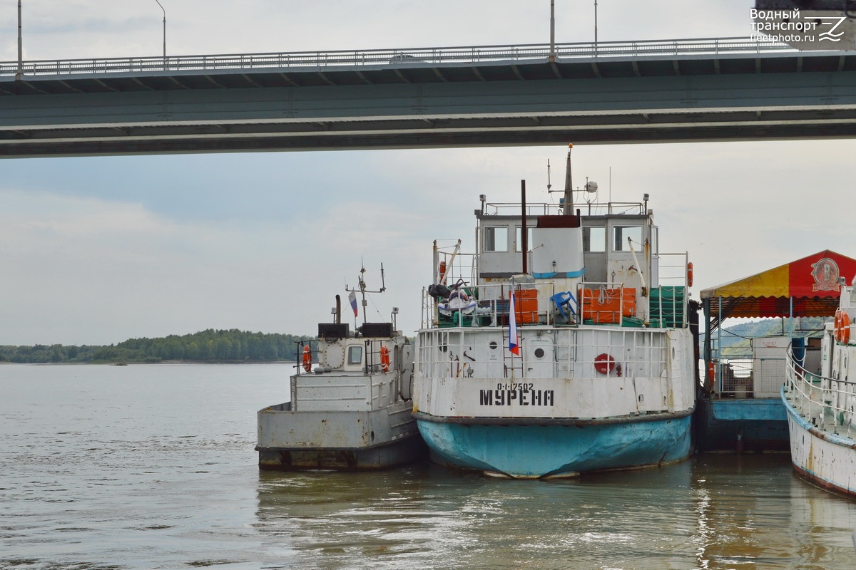 Р 92-18 АК, Мурена