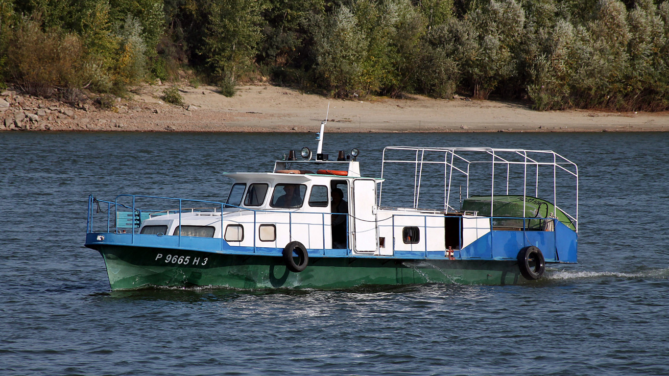 Р 96-65 НЗ