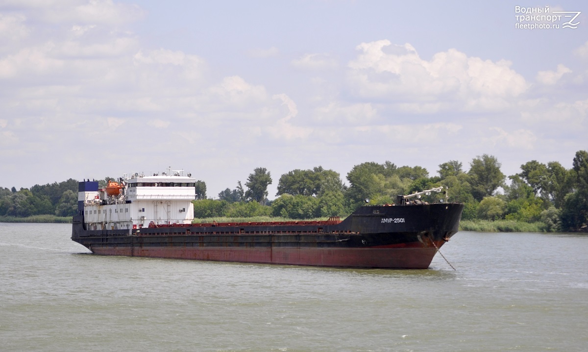 Амур-2501
