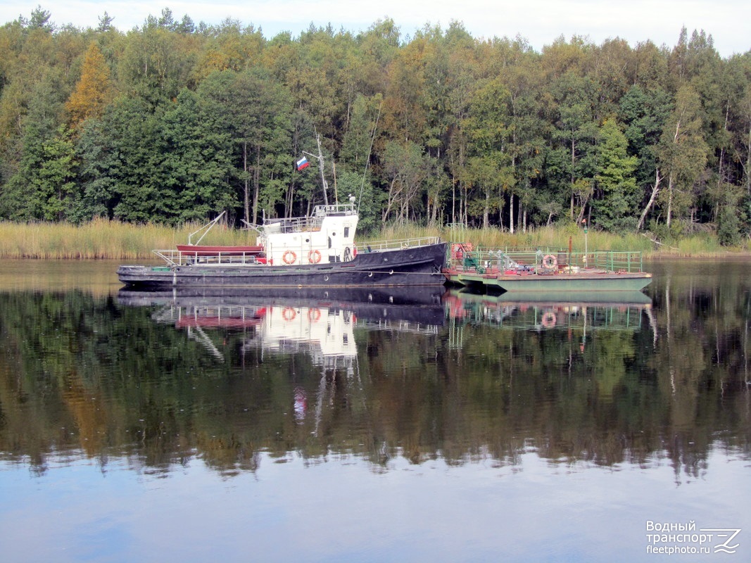 Песец, Трал (СРГСиС)