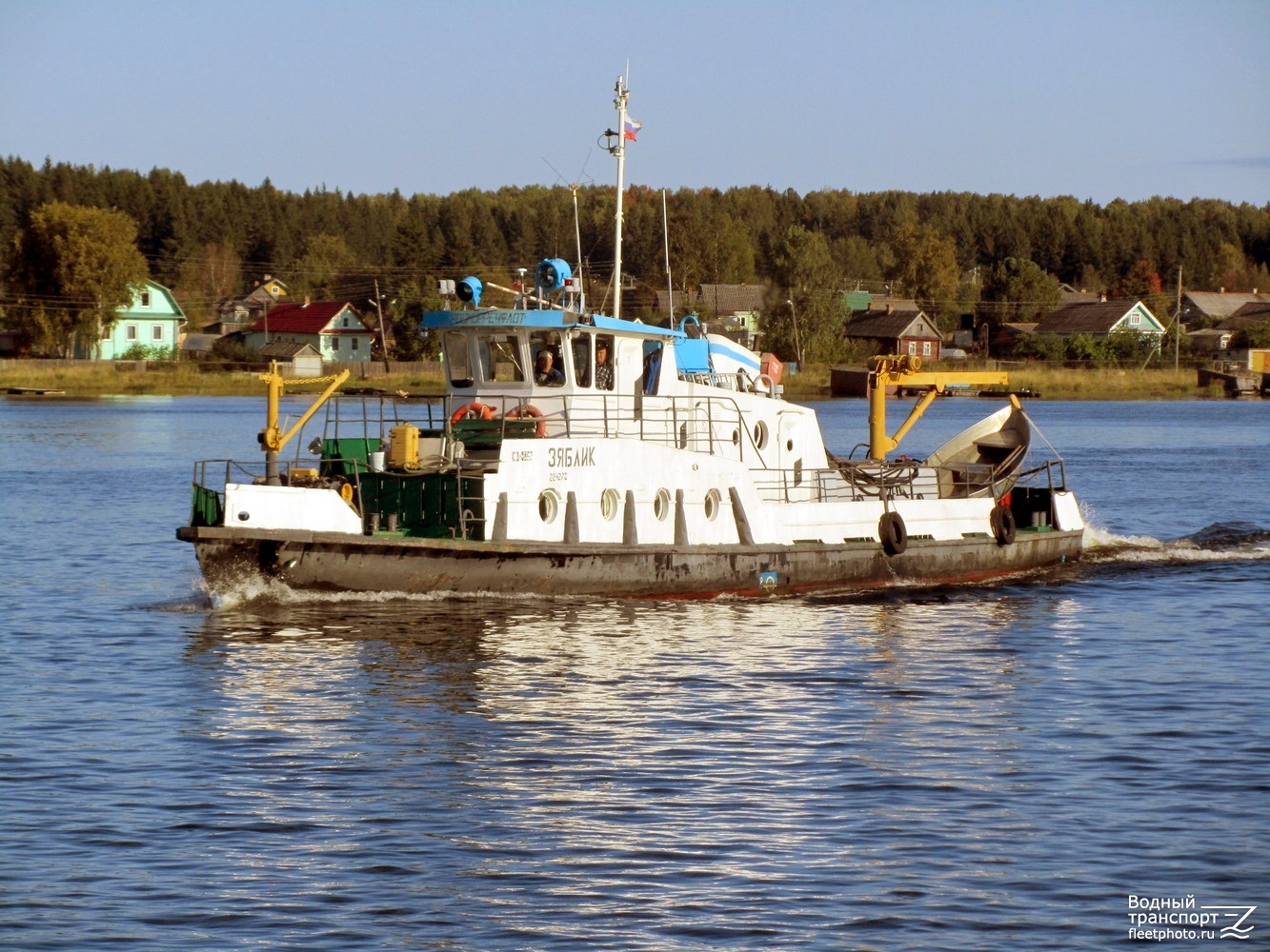Зяблик