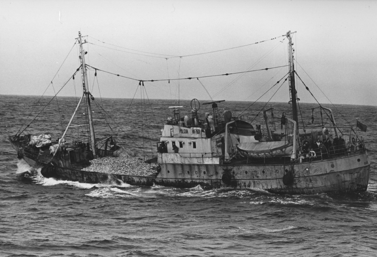 СРТР-9089 Олгуя