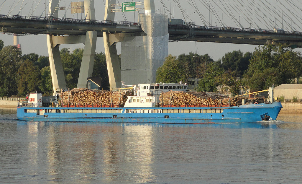 СТК-1019