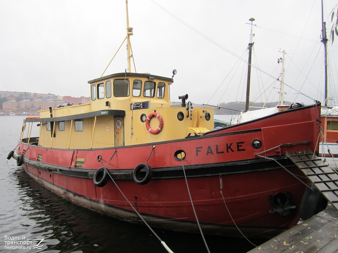 Falke