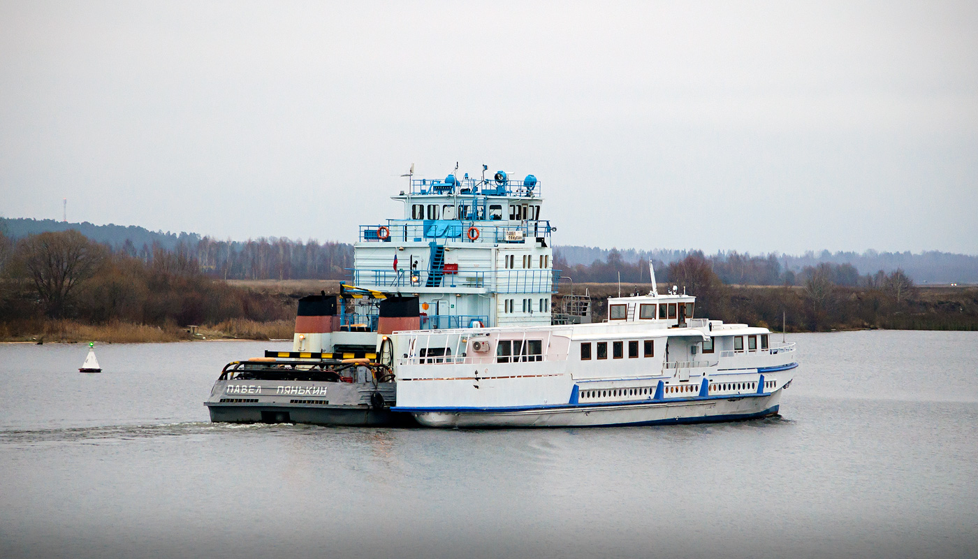 Павел Пянькин, Лагуна
