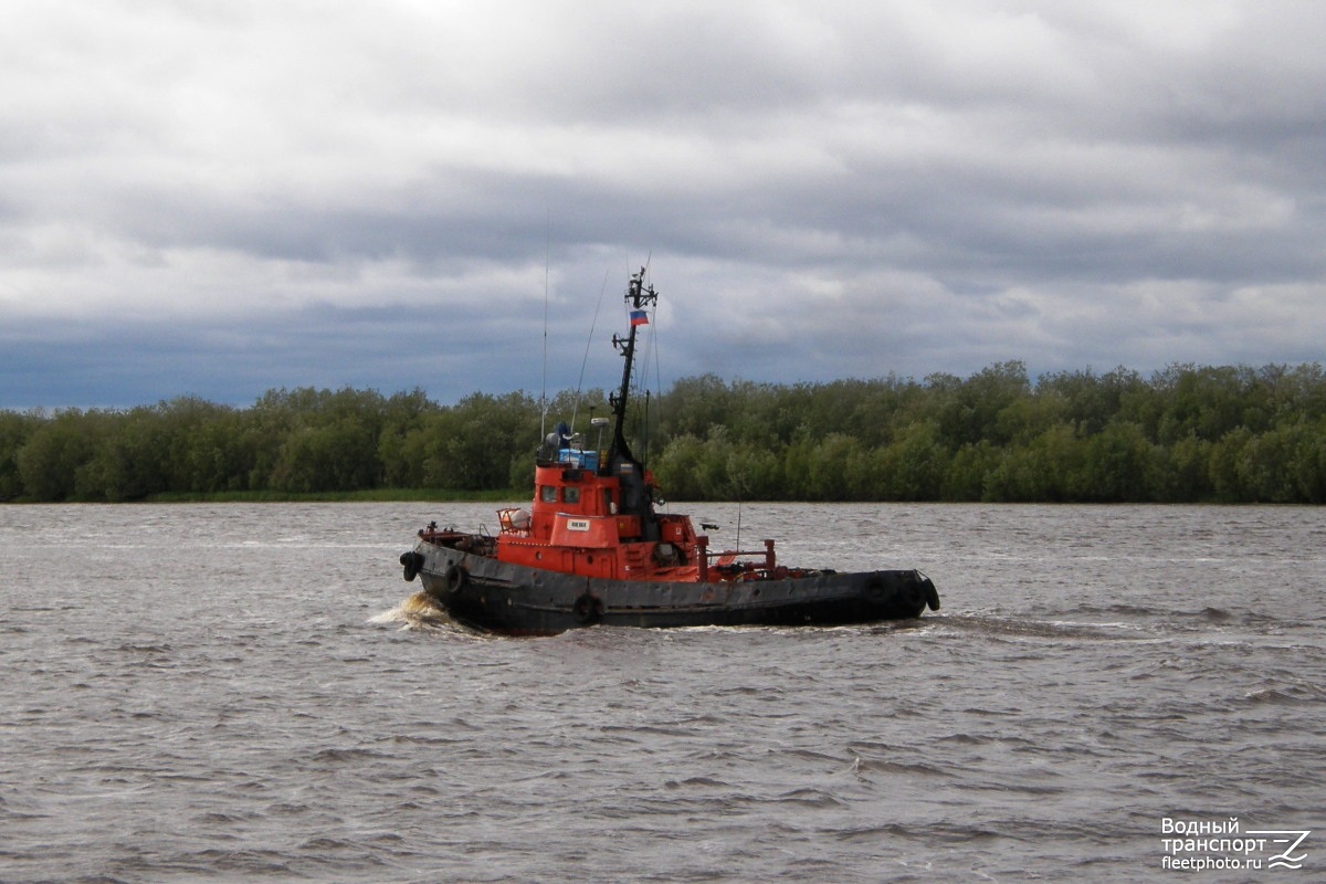 Оленка
